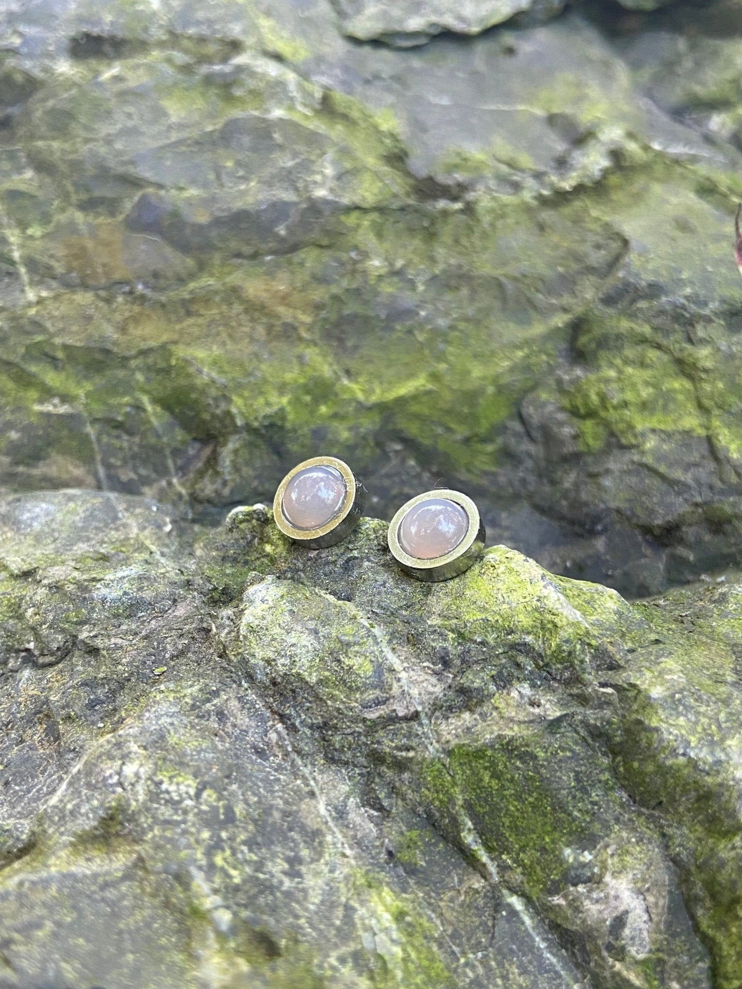 Botswana Agate stud earringsSelkie Cove